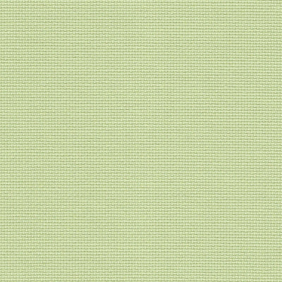 20 ct aida Mimosa Green- 18.5 x 18.5”