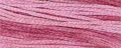 Prickly Pear - Classic Colorworks Thread
