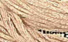 Tea and Biscuits - Classic Colorworks Thread