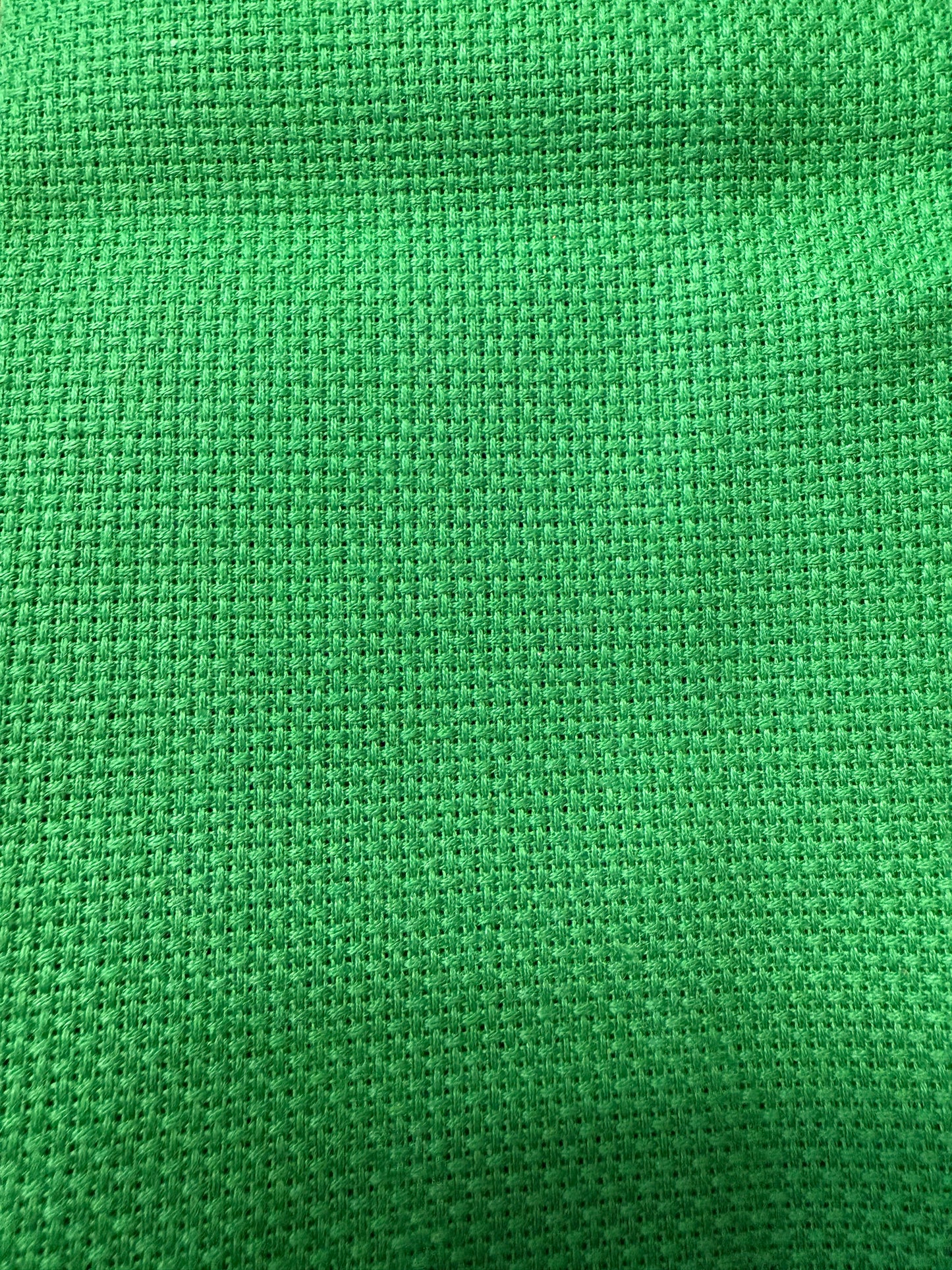 14 ct aida Christmas green-10.5x16”