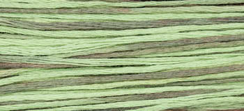 Cape Cod 1181 Weeks Dye Works