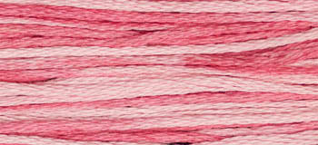 Crepe Myrtle 2275 Weeks Dye Works