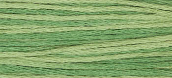 Ivy 2198 Weeks Dye Works