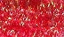 Opal Red ESTAZ glisten gloss
