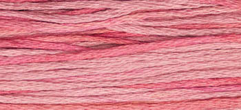 Camellia  2276 Weeks Dye Works