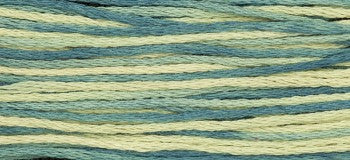 Eucalyptus 2146