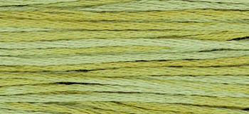 Scuppernong 2196 Weeks Dye Works