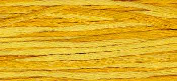 Squash 2224 Weeks Dye Works