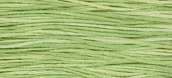 Wasabi 1120 Weeks Dye Works