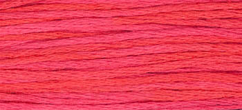 Watermelon Punch 2262 Weeks Dye Works